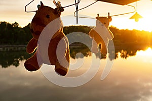 Silhouette hanging rhino and bear toy in washing process with orange lake sunset natural background