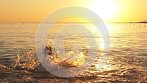 Silhouette of happy boy having fun in sea raises splashes at sunset, slow motion