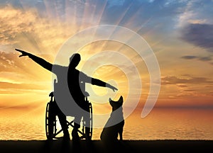 Silhouette of happy disabled man in wheelchair with his dog by the sea enjoying the sunset