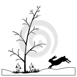 Silhouette of a hare in the spring forest.