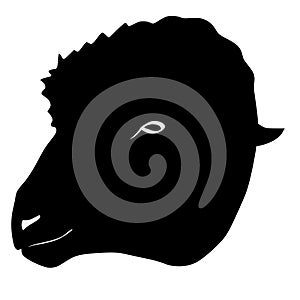 Silhouette of head of sheep