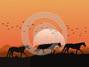 Silhouette of a herd of horses on the hills at sunset has mountains and orange sky as background