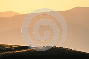 Silhouette of herdsman with herd of sheep, dogs on the hill