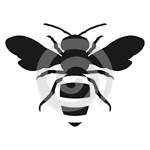 Silhouette honey bee icon flat design
