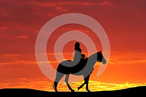 Silhouette of a horse and the girl against the backdrop of a beautiful sunset