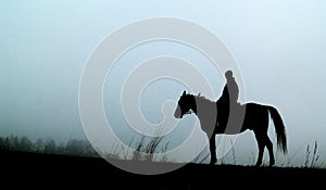 Silueta de un caballo hombre 