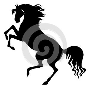 Silhouette of horse reared