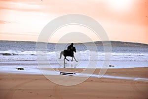 Silhouette of a horse and rider galloping