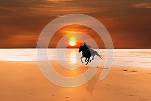 Silhouette of a horse and rider galloping