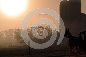 Silhouette of horse and silos at sunrise