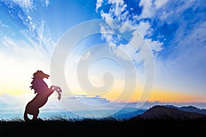 Silhouette of a horse on sunset background.