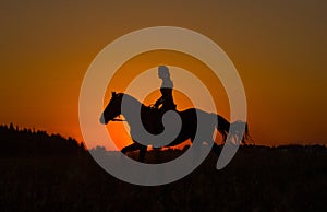 Silhouette of a horseback rider in sunset