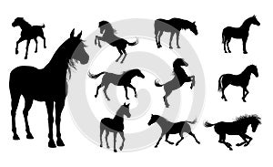 Silhouette Horses