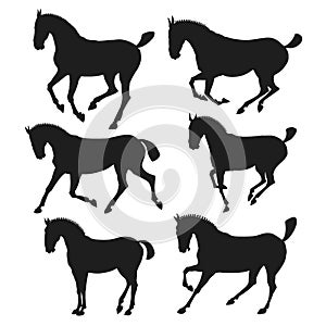 Silhouette of horses. vector illustration