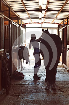 Silhouette of horsewomen owner harnessing the stallion in stable