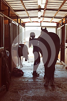 Silhouette of horsewomen owner harnessing the stallion in stable photo