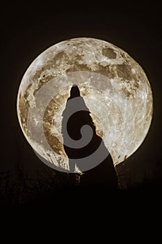 Silhouette of a howling wolf against a full moon backdrop, AI-generated.