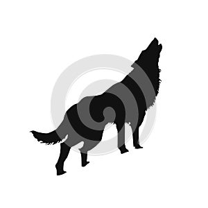 Silhouette of a howling wolf or a dog barking, Stock Vector illustration isolated on white background