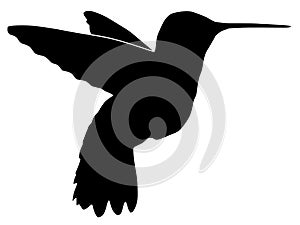 Silhouette of hummingbird