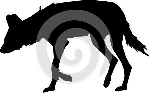 Silhouette of a hungry and nervous wild dog