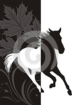 Silhouette of hurrying horse photo