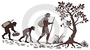 A silhouette illustration depicts human evolution.