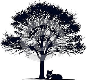 Cat Resting Under a Tree Silhouette