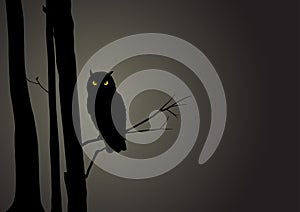 Silhouette Illustration Of An Owl