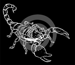 silhouette Illustration of scorpion arachnid insect. vector graphics