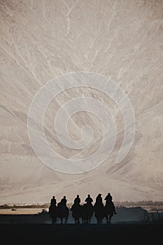 Silhouette image of camels caravan in the Hunder desert , Nubra valley