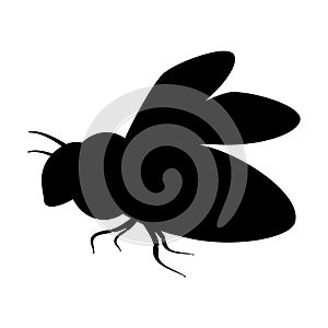 Silhouette insect with wings icon. Black simple illustration of fly, bee, wasp. Flat isolated vector image on white background