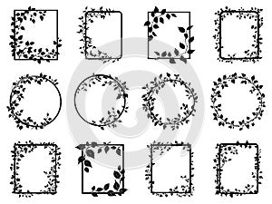 Silhouette ivy liana frame set. Round and rectangular shape. Spindly vine creeping plant. Nature foliage decorative