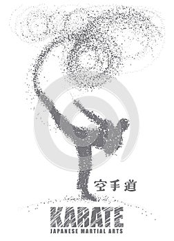 Silhouette of a karateka doing standing side kick .Vector