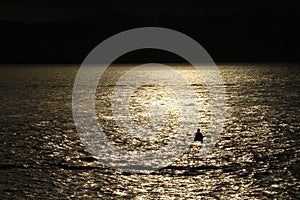 Silhouette of a kayaker at sunset