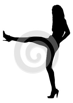 Silhouette Kick Girl