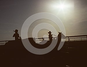 Silhouette Kids and Horses