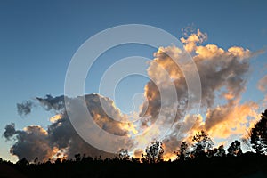 Silhouette landscape