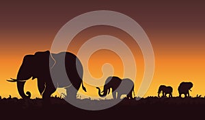 Silhouette landscape illustration of a group of elephants. Beautiful sunset, Nature background