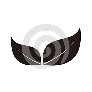 Silhouette of leaf logo design