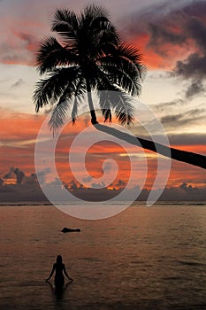 Silhouette of leaning palm tree and a woman at sunrise on Taveuni Island, Fiji