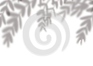Silhouette Leaves Shadow on white background, Illustration isolated transparent of Shadow leaf overlay on Wall,Concept for