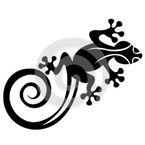 Silhouette of a lizard, salamendra drawn in black on a white background. Logo reptile lizard