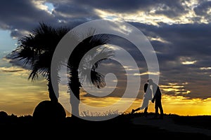 Silhouette of loving couple and palm trees.
