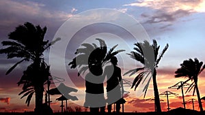 Silhouette Of A Loving Couple Under the Palm At Sunset Embrace and Kiss