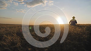 Silhouette of man agronomist farmer in golden wheat field at sunset. Male looks at the ears of wheat, rear view.