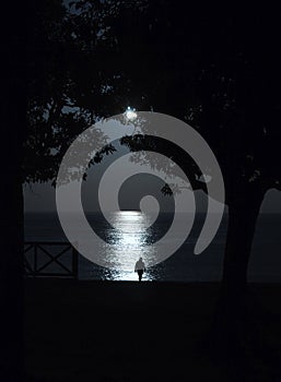 silhouette of a man on the beach against the sea at sunset