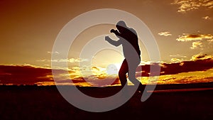Silhouette of man boxing with shadow on the beatch at sunset intentional sun flare and vintage color. Man Engaged In Melee Combat