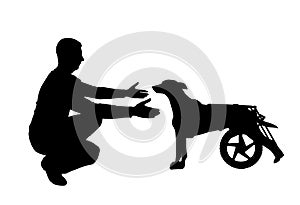 Silhouette Man calls for a paralyzed dog in a wheelchair photo