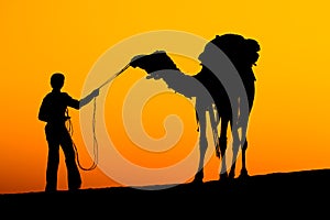 Silhouette man and camel