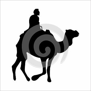 silhouette of a man with a camel, on a white background